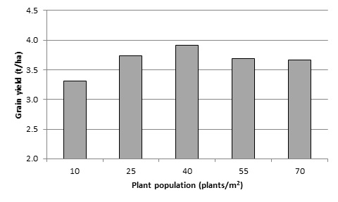 Figure 3. Canola grain yield of five plant populations in the irrigated canola-3 experiment at Leeton, 2016 (l.s.d. (P <0.05) = 0.23t/ha).