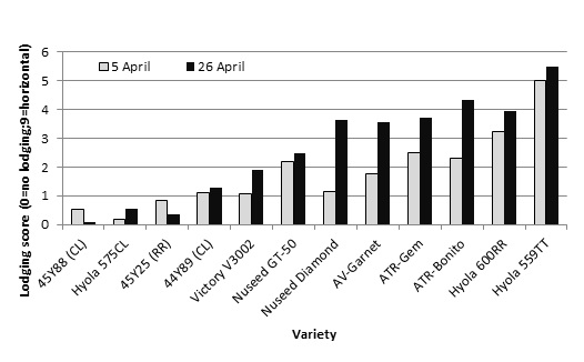 Figure 5. Lodging score of 12 canola varieties at two sowing dates in the irrigated canola-1 experiment at Leeton, 2016 (l.s.d. (P <0.05) = 0.87).