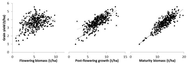 Figure 2. Relationship between grain yield and biomass at flowering, growth post-flowering and biomass at maturity in canola trials at Wagga Wagga (×), Finley (▪), Ganmain (▲) and Condobolin (◊) in 2016. 