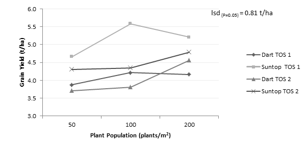 Figure 3. Grain yield response for two varieties (LRPB Dart and Suntop) sown at three target plant populations across two sowing dates (TOS 1; 6 May, TOS 2; 7 June)- Terry Hie Hie 2015