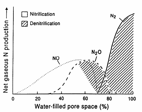 Figure 2. Model of the relationship between water-filled pore space of soil and relative fluxes of N-gases (Yoshinari 1993)