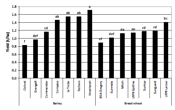 Figure 2. Yield of seven barley and seven bread wheat varieties in the presence of high crown rot infection – Garah 2014