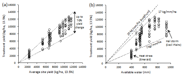 Figure 2. (a) Treatment yields (kg/ha) versus average site yields (kg/ha); and (b) Treatment yields (kg/ha) versus soil available water (mm) across NSW and Qld sites.