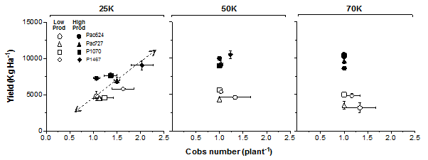 Figure 3. Maize yields versus cob number per plant for four hybrids showing contrasting degree of multi cobbing sown at three plant populations, 25,000, 50,000 and 70,000 pl/ha, in Gatton, Qld during the 2014/15 season. Open and closed symbols are for low (rainfed) and high productivity (irrigated) treatments, respectively.