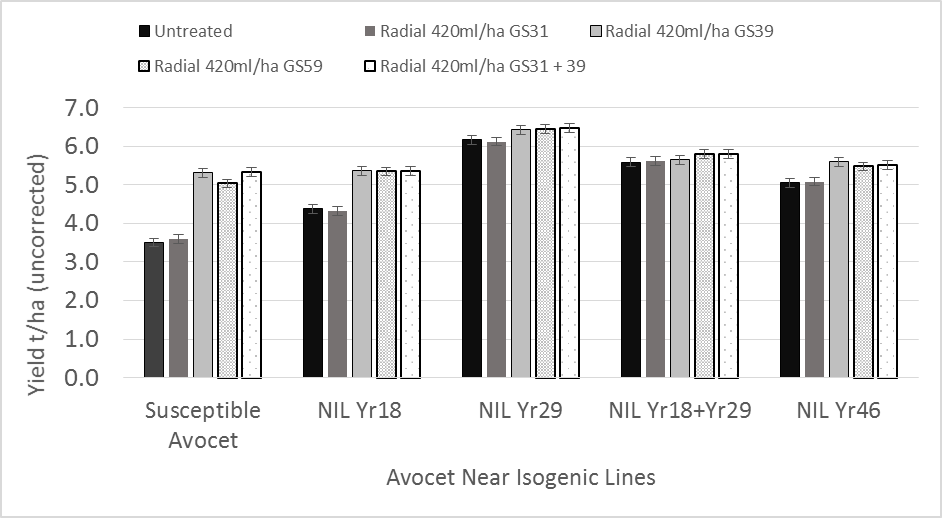 Figure 8. Influence of different APR genes Yr18, Yr29 & Yr46 in a common Avocet background on fungicide response from different application timings.
