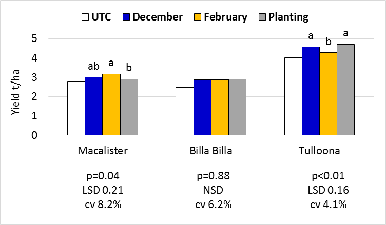 Figure 6. Suntop yield responses to Timing of Application. All treatments incorporated and applied at three rates.