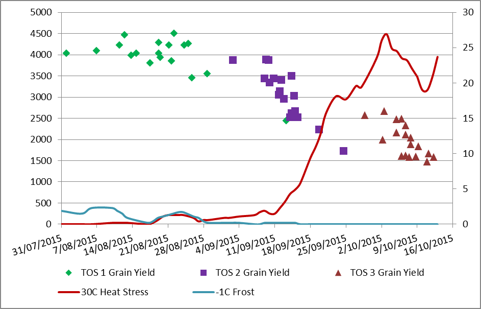 Figure 1. Grain yields of wheat for the date at which 50% anthesis occurred. The lines indicate the probability of Goondiwindi screen temperatures <0C and >30C (www.austalianclimate.net.au).