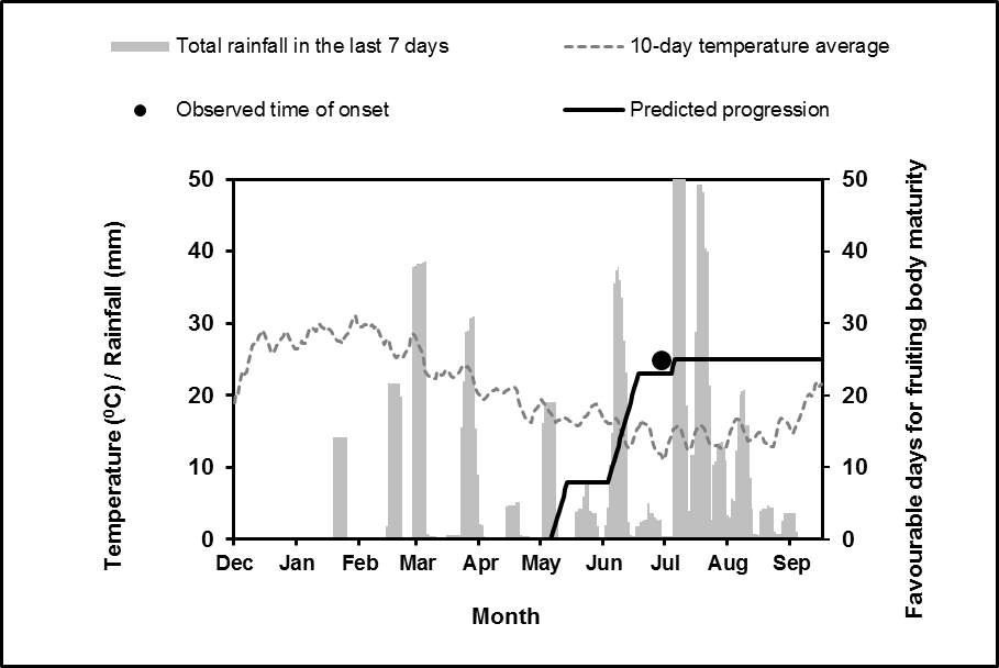 Figure 2. An example of the yellow spot spore maturity model output for Eradu in 2015.  The observed time of onset and the predicted time of onset are within seven days of each other.  Note the predicted progression ‘flat lines’ after the onset of maturation in the spore maturity model as this is the point at which this model will interface with the secondary spread model.