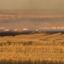 Growers contemplating burning to manage high stubble loads…