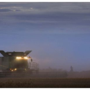 Put safety first this harvest, urges experienced grain grower
