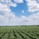 Agtech and automation field day for growers at Tosari