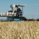 The pitch: agtech start-ups share plans to solve grain issues