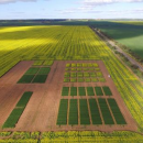 NVT changes to yield results for growers