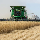 GRDC helps growers with 2022 winter crop variety choices
