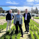 New farming systems project for WA grain growers