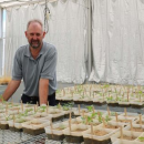 Unified approach improves herbicide resistance data
