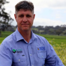 Spotlight on pre-emergent herbicides for early sown wheat