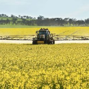 NSW growers on disease alert this year