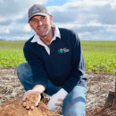 Improving productivity on South Australia’s ironstone gravel soils