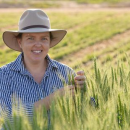 GRDC backed breeding program set to dial up the heat tolerance of…
