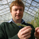‘First-class’ plant pathologist recognised by grains industry