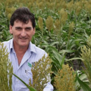 GRDC National Variety Trials releases 2021 Sorghum Harvest Report