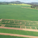 GRDC Research Updates uncover potential phosphorous savings