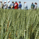 Victoria the focus of GRDC Southern Panel tour