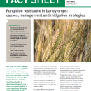 Fungicide resistance in barley