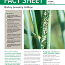 Managing fungicide resistance: barley powdery mildew