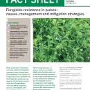 Fungicide resistance in pulses