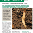 Slug control fact sheet