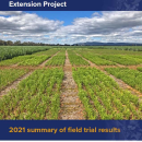 NSW Pulse Agronomy Development and Extension Project