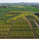 International conference canola field day: a showcase of canola…