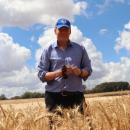 New insights into the most profitable cropping systems in southern…