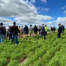 SA grain growers to shape research investment