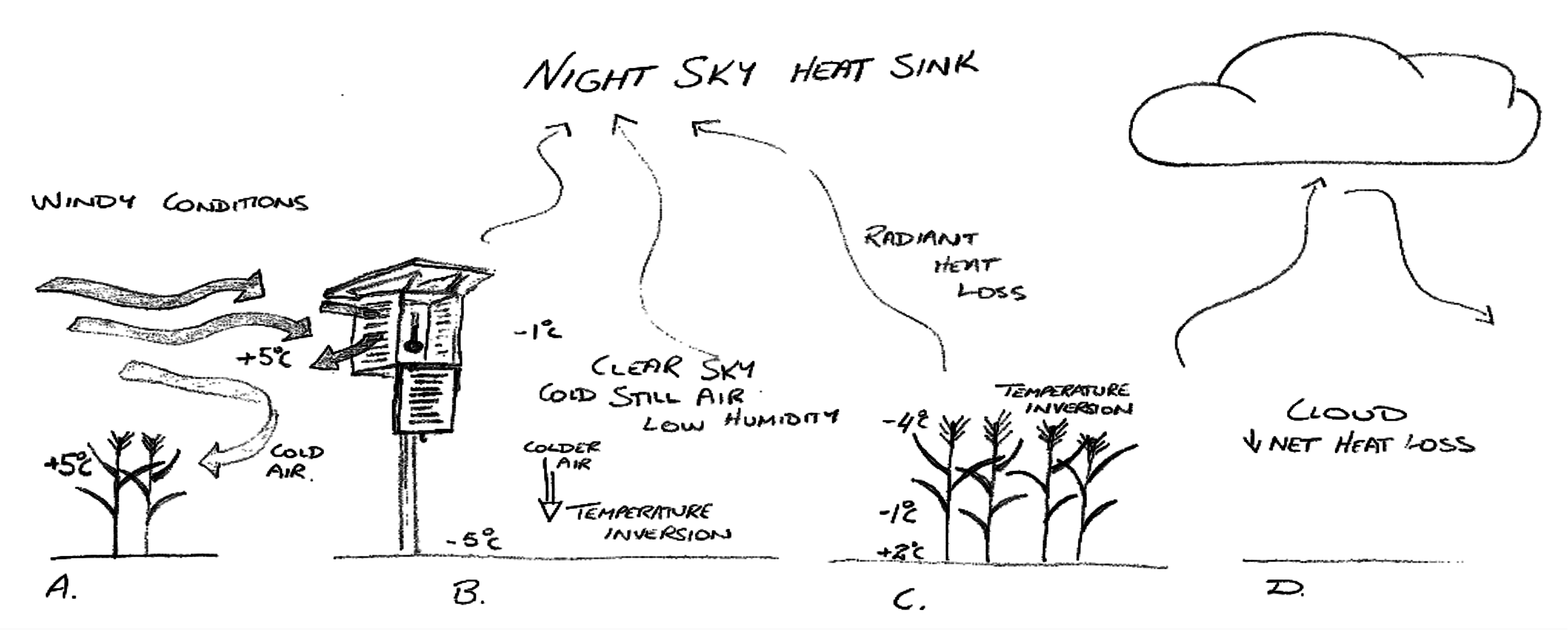 Diagram of what to do in weather conditions for certain crops
