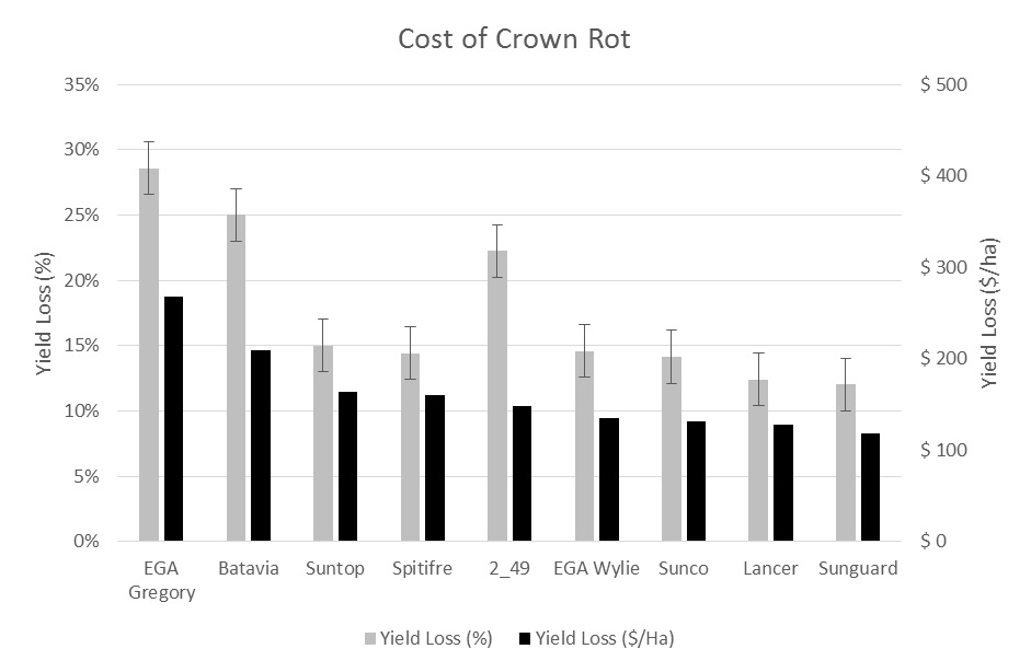 A bar chart showing yield loss associated with crown rot