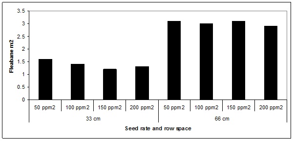 Barchart showing fleabane seed rate and row spacing (text description follows image)