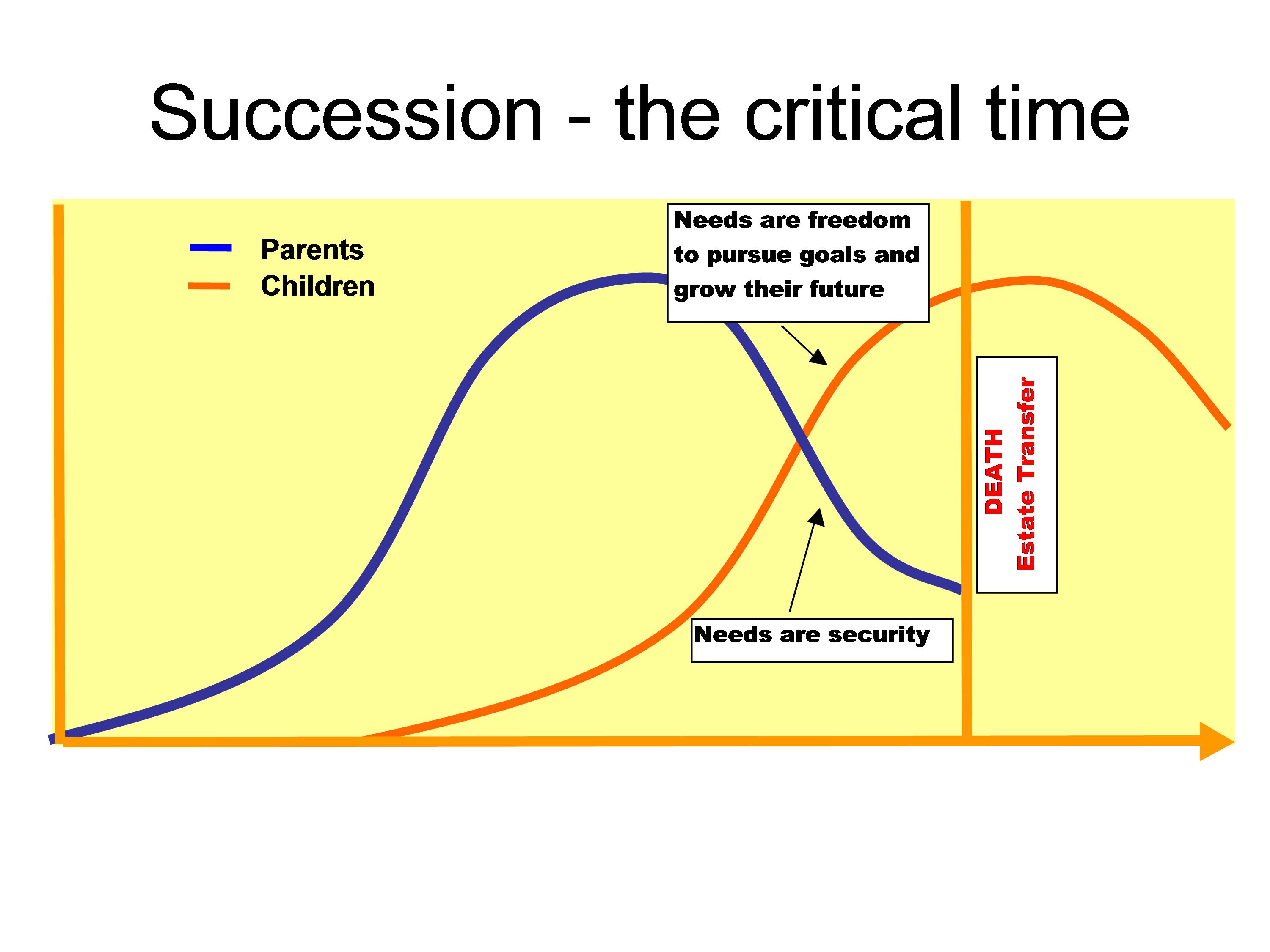 Figure 1. Process of succession.