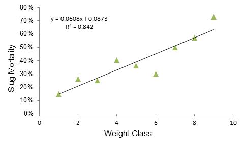 Figure 3: Mortality of grey field slug feeding on Metaldehyde baits in response to individual weight. Weight classes are in increments of 50mg where 1 = <50mg, 10 > 500mg. 