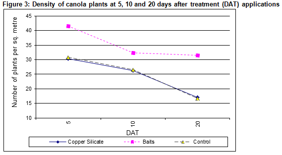 Figure 3: Density of canola plants at 5, 10 and 20 days after treatment (DAT) applications